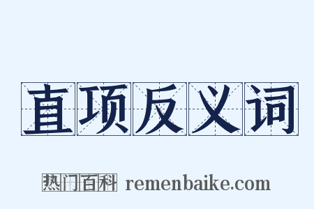 直项反义词是什么意思的图片